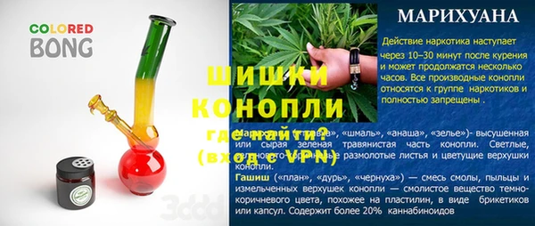 стаф Балахна
