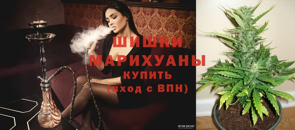 стаф Балахна