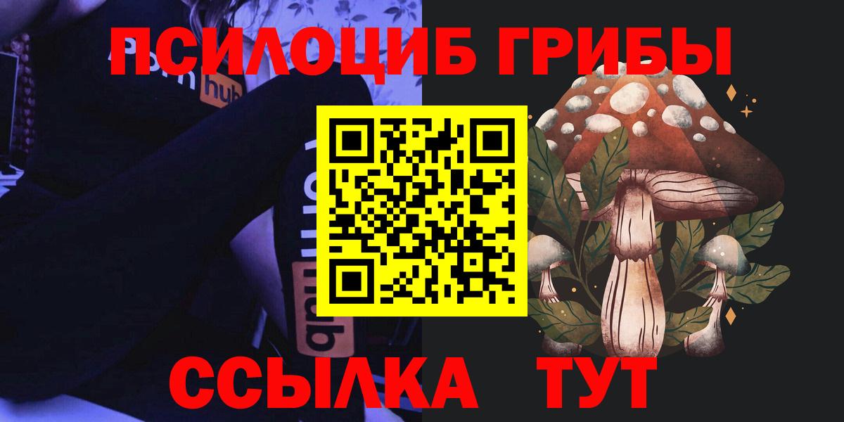 Коряжма  Галлюциногенные грибы Cubensis  Вход с VPN  Псилоцибиновые грибы мицелий 