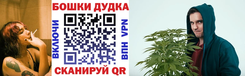 Бошки Шишки планчик  Коряжма 